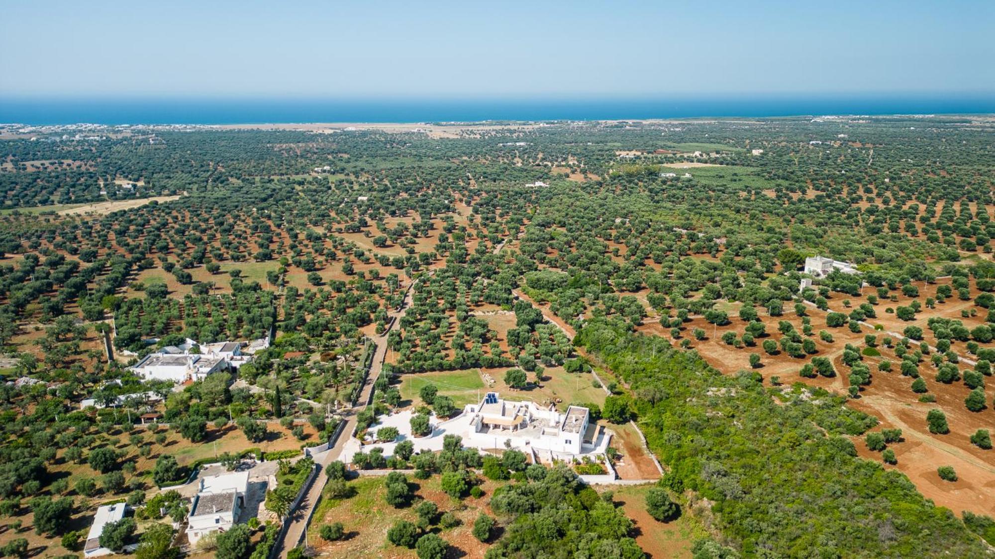 Masseria Abadia Uno Ostuni Zewnętrze zdjęcie